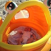 intex lazy fish baby shade pool