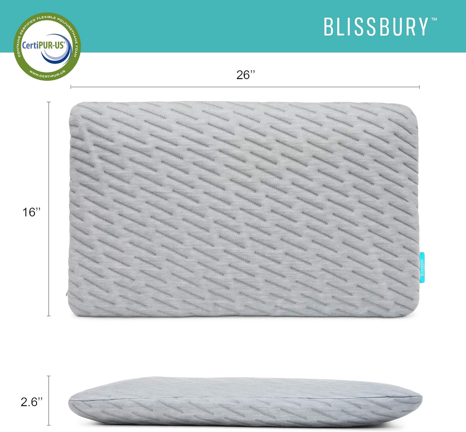 BLISSBURY Thin 2.6" Stomach Sleeping Memory Foam Pillow. Slim, Flat, Cooling Sleep for Belly or Back with Soft Bamboo Washable Cover, Neck and Head Support for Men and Women Bedding Accessories: Home & Kitchen