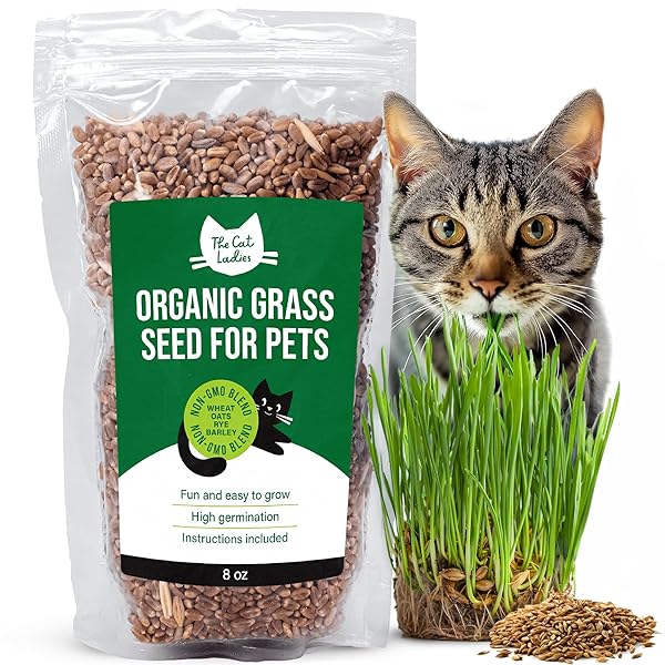 THE CAT LADIES 100% ORGANIC CAT GRASS SEED (NON GMO) 8OZ