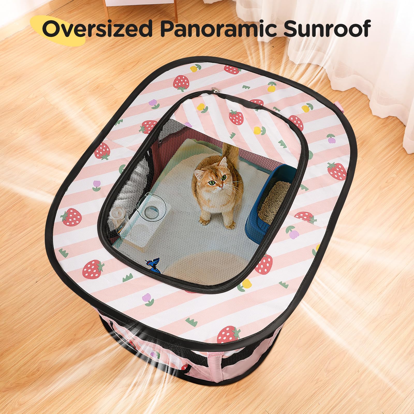 View 4