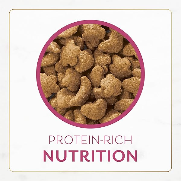 PURINA FANCY FEAST DRY CAT FOOD FILET MIGNON FLAVOR WITH SEAFOOD AND SHRIMP – 3 LB. BAG