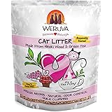 Amazon Com Weruva Cats In The Kitchen Goldie Lox With Chicken Salmon Au Jus Cat Food 3 2oz Can Pack Of 24 Canned Wet Pet Food Pet Supplies