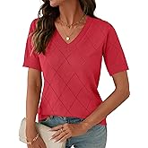 IECCP Womens Short Sleeve Sweater V Neck Summer Tops Lightweight Knit Pullover Blouses Business Casual Outfits