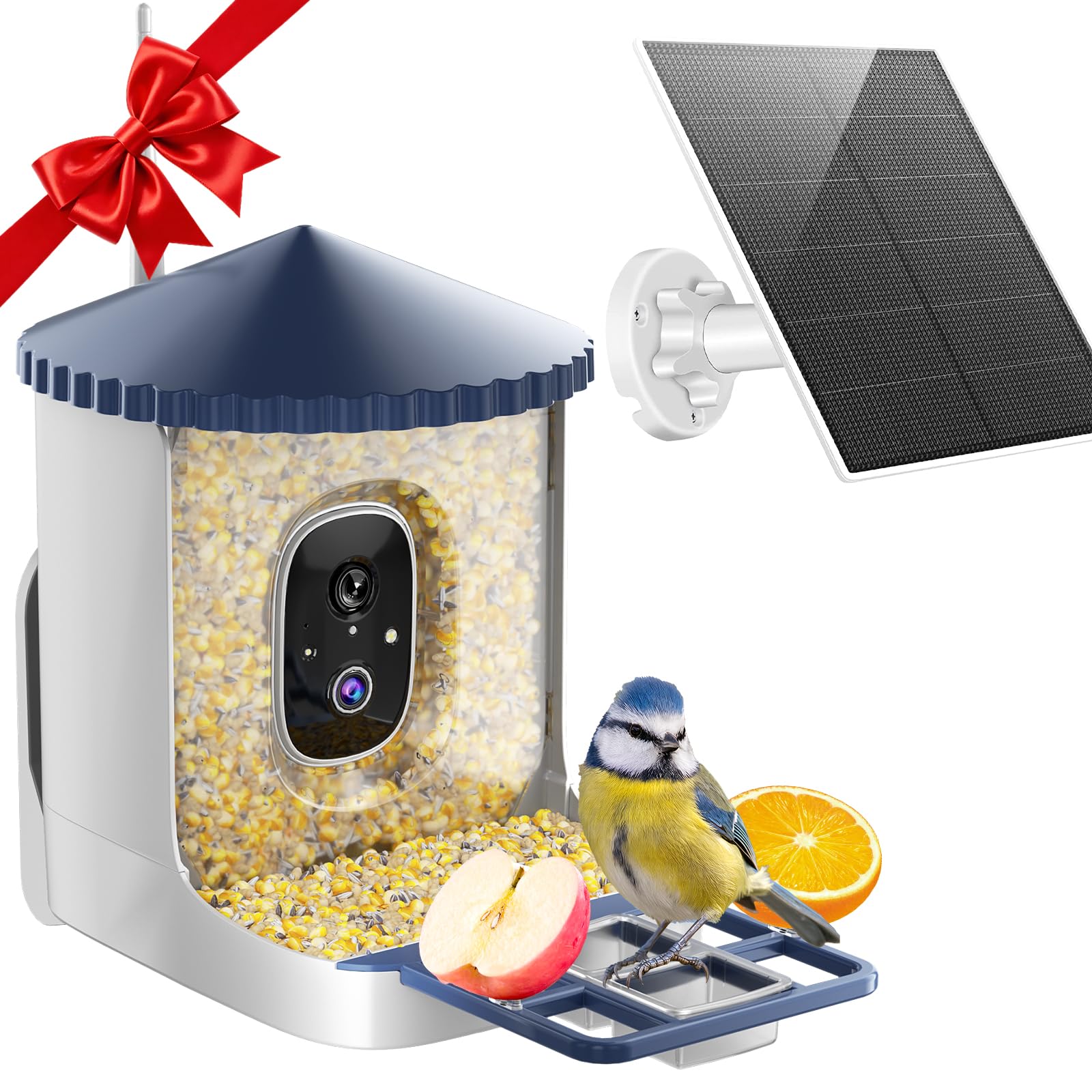 SOLIOM BF02 Bird Feeder with Camera Wireless Outdoor, 2K HD Wild Bird Watching Cam with Full Color Night Vision, AI Identify Bird Species, Live View, Instant Notifications with 3W Solar Panel