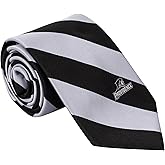 Desert Cactus Providence College Neck Tie PC Friars 100% Polyester Necktie with Logo, Officially Licensed (Style A)