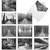 The Best Card Company - Box of 10 All Occasion Cards Blank (4 x 5.12 Inch) - Scenic Landscape Cards Assorted - Tree Lines M3313-NB