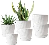 CSYY 6-Pack Plant Pots Indoor Outdoor Self Watering Tray