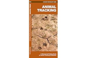 Animal Tracking