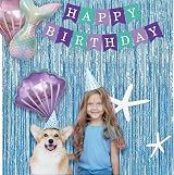 Blue Foil Fringe Curtain 2 Pcs 1x2.5m Party Backdrop view 8