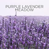 Air Wick Essential Oils Plug In Refill Purple Lavender Meadow 19ml view 5