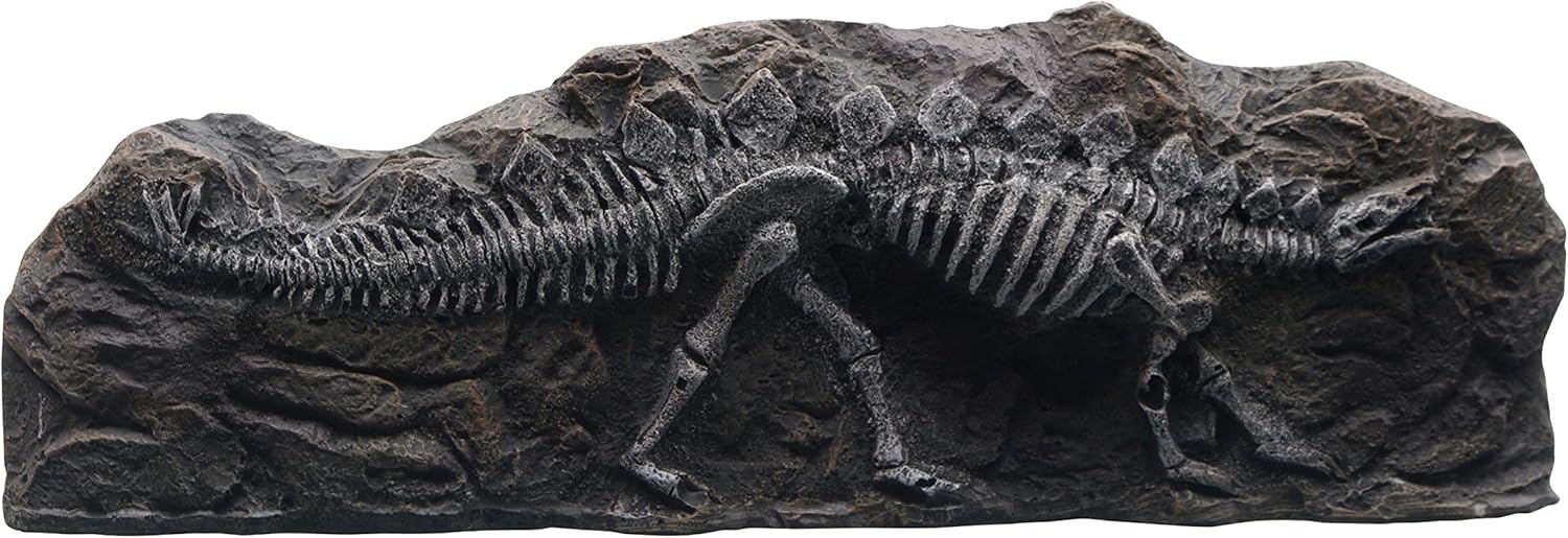 Marina Stegosaurus Fossil Ornament for Aquarium