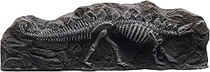 Marina Stegosaurus Fossil Ornament for Aquarium