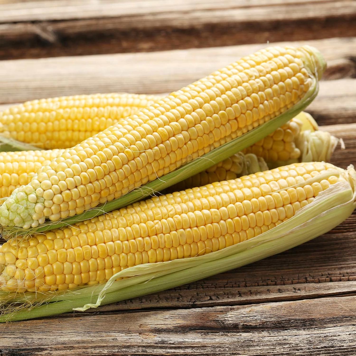 Home Garden Original Pack 10 Red Sweet Corn Seeds Maize Organic Seeds Bulbs