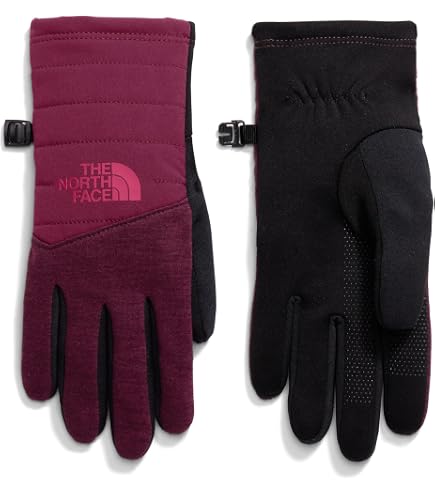 Amazon.com: The North Face Men's Apex Insulated Etip Glove, Stone