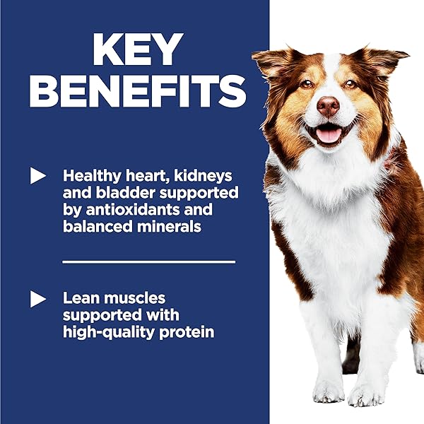 HILL’S SCIENCE DIET ADULT 7+, SENIOR ADULT 7+ PREMIUM NUTRITION, DRY DOG FOOD, CHICKEN, BROWN RICE, & BARLEY, 5 LB BAG