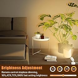 2 Pack LED Spot Lights Indoor, 3W Uplighting With