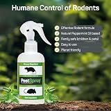 EFA International Mouse Pest Spray Peppermint Oil Humane indoor outdoor view 6