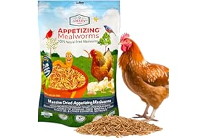 Amzey Dried Mealworms 2 LB, 100% Natural Meal Worms for Chicken & Birds, Organic Chicken Feed for Laying Hens, High Protein and Nutrition, Zipped Bag