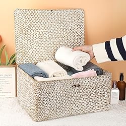 Hipiwe Wicker Woven Baskets Bin with Lid Natural