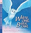 White Owl Barn Owl Read And Wonder Nicola Davies Michael Foreman 9780763641436 Books