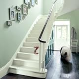 Dulux Easycare Washable Matt Emulsion Willow Tree 2.5L Walls Ceilings view 6