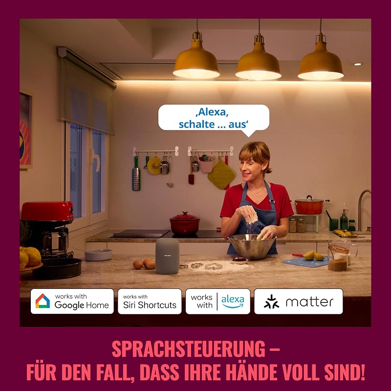WLAN-Smart-Stecker, Typ F, 230V, 50 Hz,einfache Einrichtung,Matter-zertifiziert,intelligente Steuerung,Sprachbefehle, kompatibel mit Alexa, Google Home und Apple Home,ohne Leistungsmesser,2er-Pack