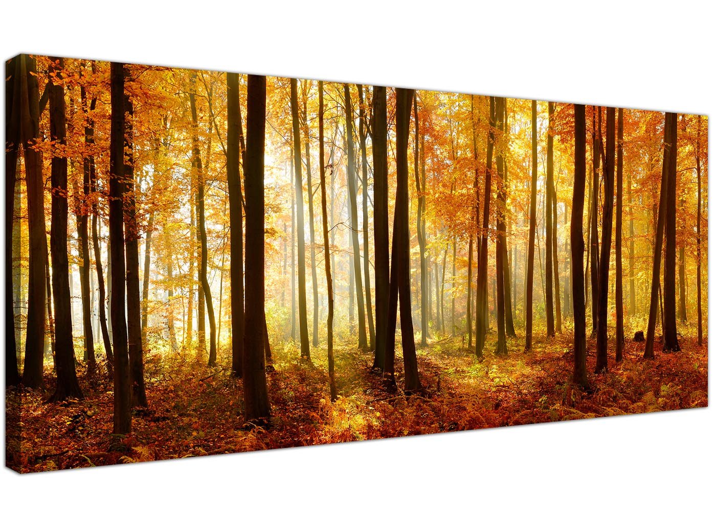 WallfillersOrange Woodland Scenes - Forest Trees Canvas Wall Art Print - 1243-118x49cm