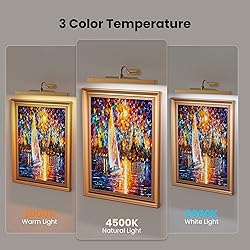 Wireless Picture Light Battery Operated, 16in