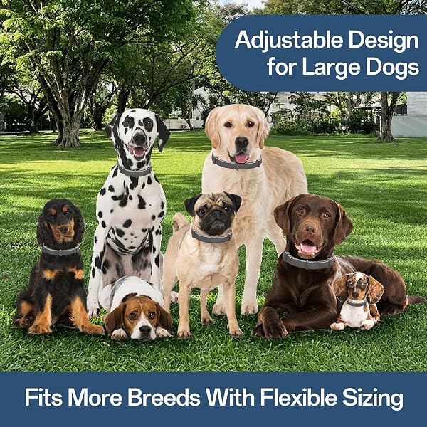 GENTLE OUTDOOR COMFORT COLLAR FOR DOGS LONG-LASTING SUPPORT WATERPROOF & ADJUSTABLE 2 PACK