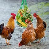 Geichan Chicken Cabbage Feeder Net Bag w/ Hook for Hens Ducks Geese - 2pcs view 8