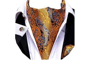 Dubulle Paisley Floral Ascot Tie for Men Self Tie Mens Cravat Tie and Pocket Square Cufflinks Wedding