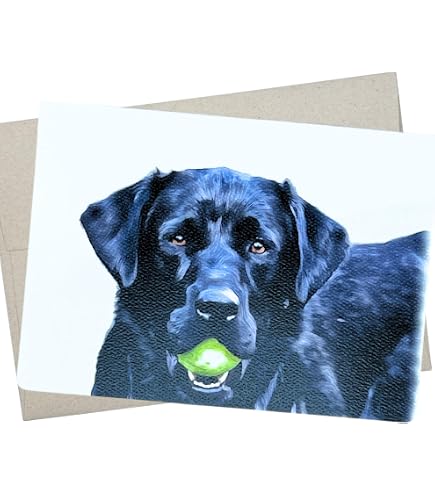 Grußkarte Schwarzer Labrador | 12,7x17,8 Cm | Blanko | Für Geburtstag & Dankeschön