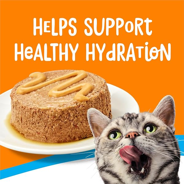 PURINA FRISKIES LIL’ LICKABLES WITH CHICKEN OR TUNA VARIETY PACK LICKABLE CAT TREATS  – 5 OZ. (PACK OF 10)