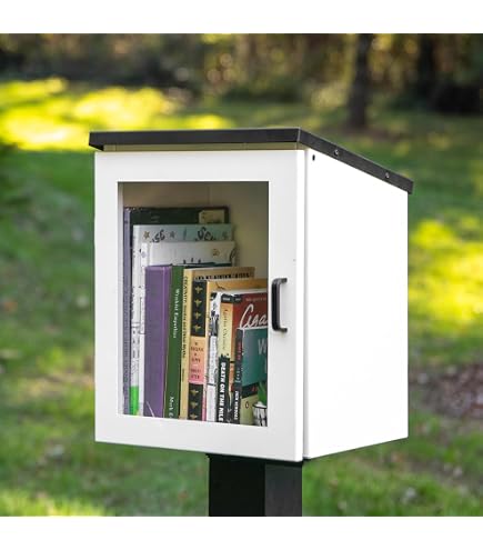 Amazon.com: Ilyapa Outdoor Library Book Box - Free Literature