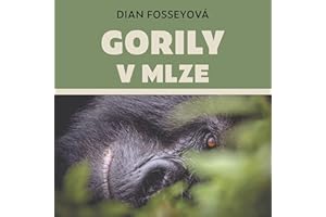 Gorily v mlze
