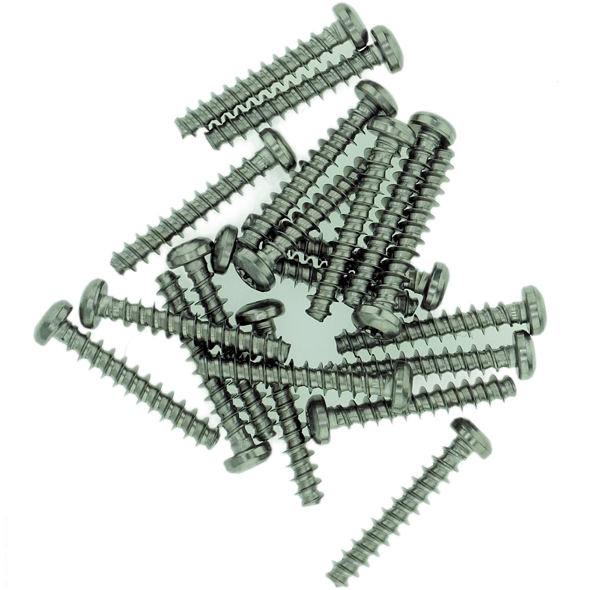 D4 (4mm x 8mm) TX Pan Screws for Plastic - Stainless Steel (A2) (Pack of 20) — image 1
