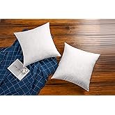 JA COMFORTS 24×24 Premium Goose Down Feather Throw Pillow Inserts(Set of 2)-5% Down Filling,High Filling Weight,250 TC Cotton Cover, Square, White