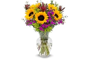 Stargazer Barn - Wildflower Bouquet (Includes Glass Vase) - Fresh Flowers for Delivery - Gift for Anniversary, Birthday, Congratulations, Get Well, Graduation, Sympathy, Valentine's Day