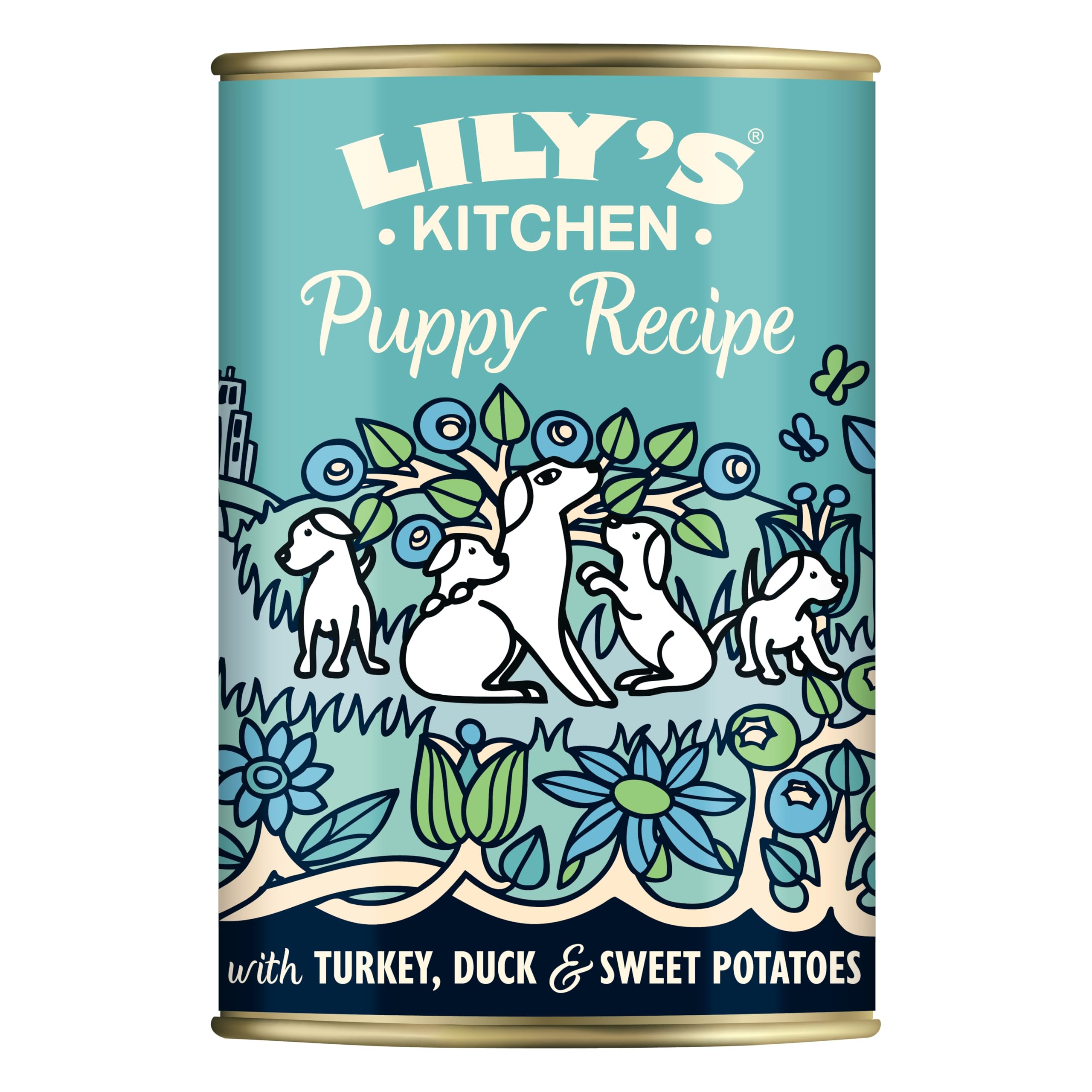 Lily's Kitchen Natural Puppy Dog Food Wet Tins - Puppy Recipe with Turkey - Complete Meal Recipes (6 Tins x 400g)