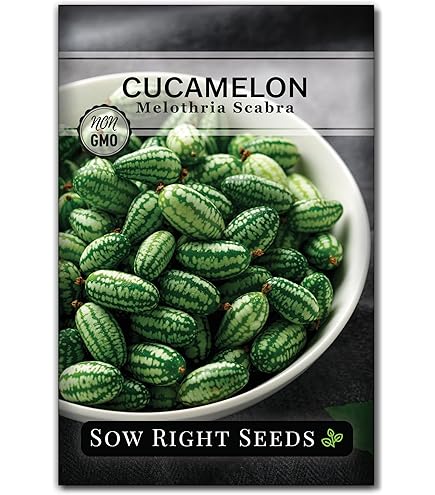 Amazon.com : Rich Sweetness 132 Melon - 25 Seeds - Unique
