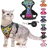 BEAUTYZOO Cat Harness and Leash,Escape Proof Easy-On Vest w/Neck Buckle, S | No Over-the-Head, Soft Air Mesh, Adjustable Fit 