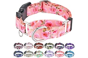 Fidohug Female Martingale Dog Collar with Buckle Cute Girl Pink Floral Dog Collars for Medium Dogs, Watercolor Pink Rose