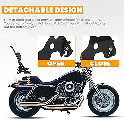 ECOTRIC Detachable Sissy Bar with Backrest