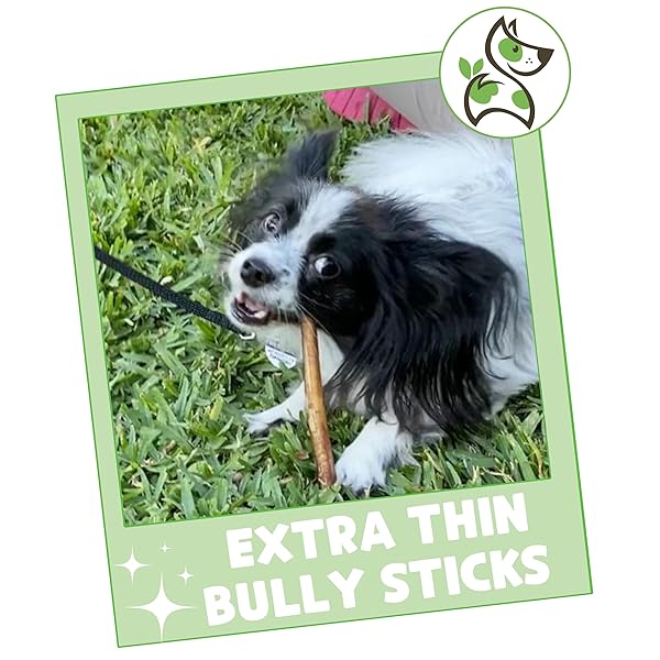 NATURE GNAWS EXTRA THIN BULLY STICKS FOR SMALL DOGS 5-6″ (10 COUNT) – LONG LASTING FOR LIGHT CHEWERS AND PUPPIES – NATURAL BEEF DOG CHEW BONES