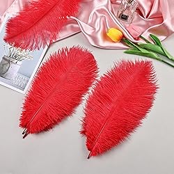 THARAHT 24pcs Red Ostrich Feathers Natural Bulk