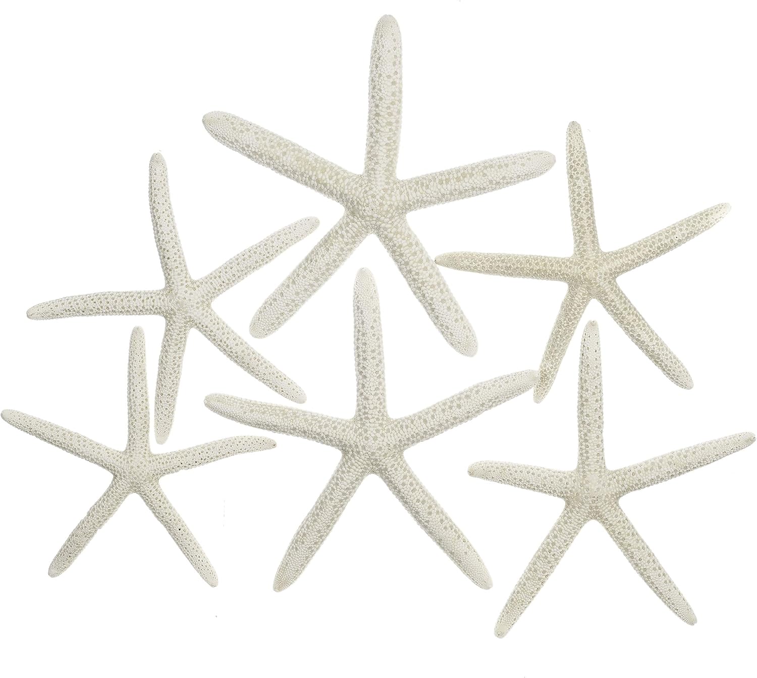Starfish | 6 White Finger Starfish 3" to 4" | Plus Nautical eBook by Joseph Rains