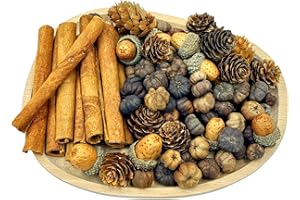APRAGAZ Fall Potpourri with Mini Pumpkin*25g, Cinnamon Stick*10 PCS, Larch Cones*15 PCS, Acorns*10PCS, Perfect Fall Potpourri Bowl Filler, Fall Farmhouse Harvest Decor Christmas Thanksgiving Autumn Potpourri