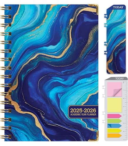 Hardcover Academic Year 2024-2025 Planner - 8.5x11, June 2024 To July 2025, Dragonflies Design