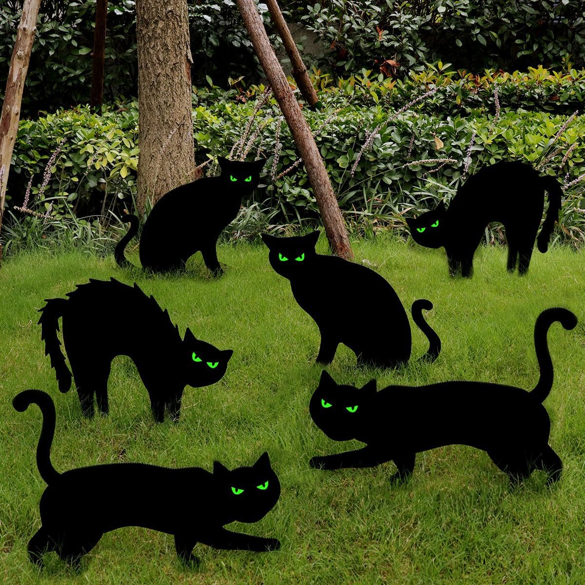 Yard Signs - Ivenf Halloween Decorations Outdoor, 6ct Black Cat Decor Yard Signs with Stakes, Scary Silhouette with Glow in Dark Eyes, Corrugated Plastic, Waterproof Lawn Decorations for Kids Family Home Party