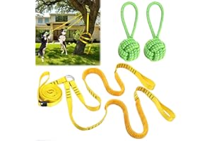 HOKINETY Dog Hanging Bungee Tug Toy for Two Dogs: Interactive Tether Tug-of-War for Pitbull Small to Large Dogs to Exercise - Durable Retractable Tugger Dog Rope Toy with 2 Chew Rope Toys